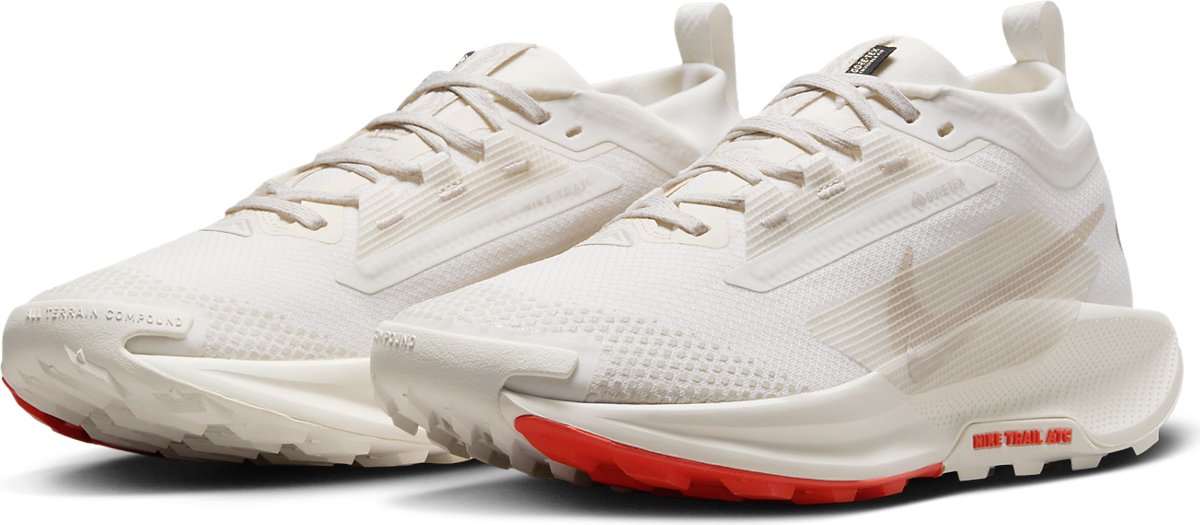 Nike Pegasus Trail 5 GORE-  Pair Front Hollow Photo